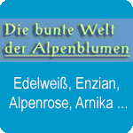 Erkunden Sie die Blumen der Alpen